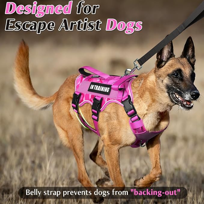 WINSEE Escape Proof Dog Harness with Double Handle+4 Removable Patches | Service Working Molle Harness with Double Handle for Large Dogs, Tactical Pet Reflective Vest for Walking Hiking Hunting - Image 2