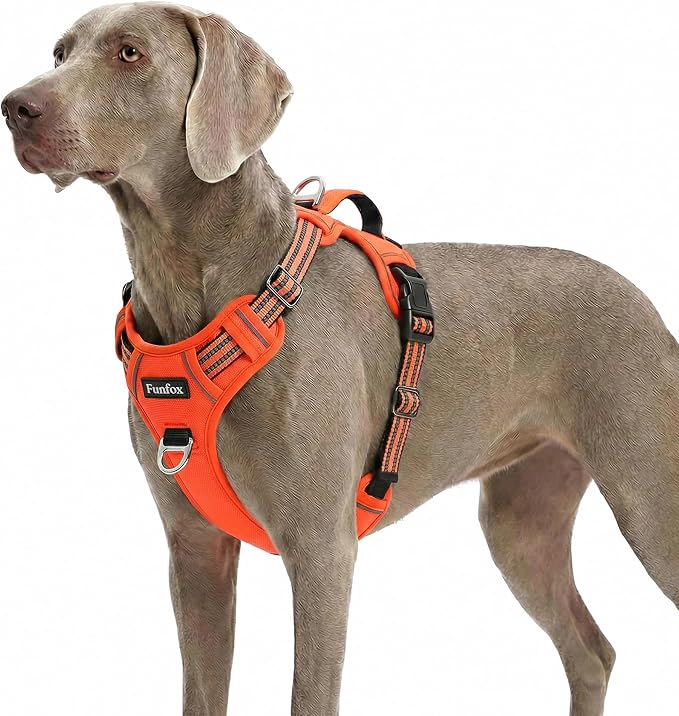 Dog Harness No Pull, Adjustable Pet Vest Harness, Super Soft Material with Vertical Handle Easy Control, Reflective Night Walking, 2 Leash Clips for XLarge Dogs, Orange, XL by MyFUNFOX