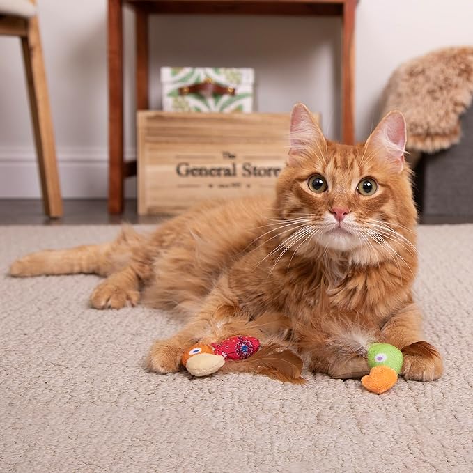Instincts by SmartyKat 2-Pack HappyNip Love Mates Feather Birds Plush Cat Toys, Contains Catnip & Silvervine - Orange/Green, 2-Pack - Image 3