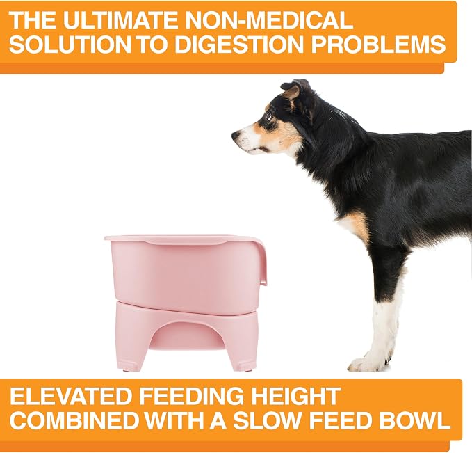 Neater Feeder Express Mess Proof Dog Bowls Elevated for Medium and Large Breed – Made in USA – No Spill Raised Slow Feeder Elevated Dog Bowl Stand, Slow Feed Food and Water Bowl Set, Pink - Image 6