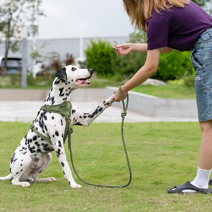 5FT Dog Leash Puppy Cat Rope Lead for Small Medium Large Dogs | Misty Green,with Anti-tangle Swivel Clip,Non-slip Grip Handle,Ideal for Daily Walks and Training - Image 7