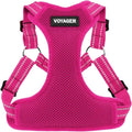 Voyager Step-in Flex Adjustable Dog Harness - Fuchsia, Small | 15 - 18" in Chest, Fully Adjustable, Reflective Bands, All Weather Breathable Air Mesh, Lightweight, Fast Drying by BestPetSuppliesLLC