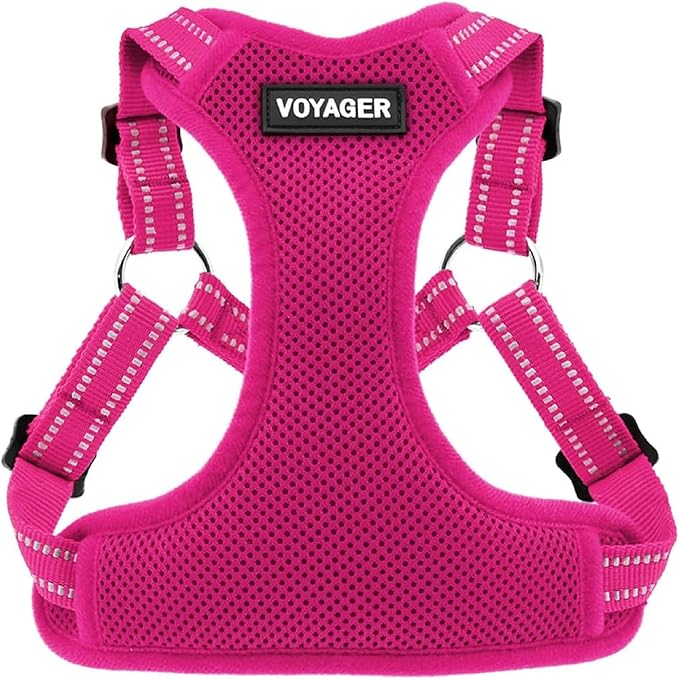 Voyager Step-in Flex Adjustable Dog Harness - Fuchsia, Small | 15 - 18" in Chest, Fully Adjustable, Reflective Bands, All Weather Breathable Air Mesh, Lightweight, Fast Drying by BestPetSuppliesLLC