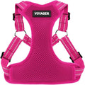 Voyager Step-in Flex Adjustable Dog Harness - Fuchsia, Large | 20 - 25" in Chest, Fully Adjustable, Reflective Bands, All Weather Breathable Air Mesh, Lightweight, Fast Drying by BestPetSuppliesLLC