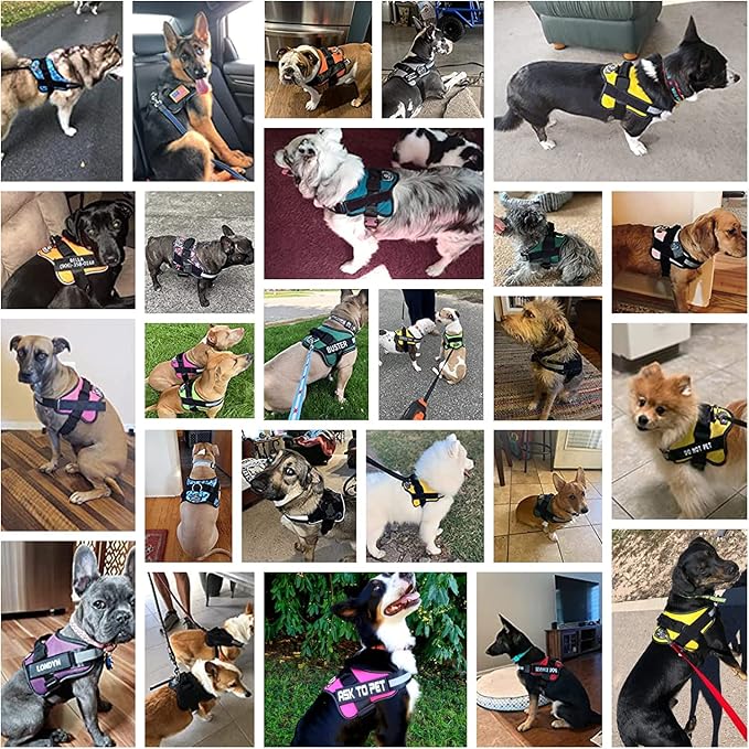 Dog Harness, No-Pull Reflective Dog Vest, Breathable Adjustable Pet Harness with Handle for Outdoor Walking - No More Pulling, Tugging or Choking Small (Pack of 1) RoseTurquoise - Image 5