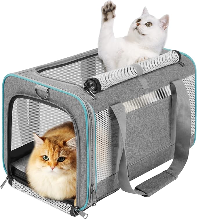 GAPZER Large Cat Carrier Soft, Collapsible Travel Pet Carry Bag, Small Dogs | Large Cats up to 20 lbs+ Maine Coon, Top Load Transport Small Puppy Dog Crate, Chihuahua Mini Dog 10lbs, Sturdy Mesh Grey by GAPZER
