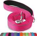 Joytale Reflective Dog Leash for Small Dogs, 5 FT x 3/4", Hotpink | Heavy Duty Nylon Webbing, Padded Handle for Comfort, Visible at Night, for Walking & Training by Joytale