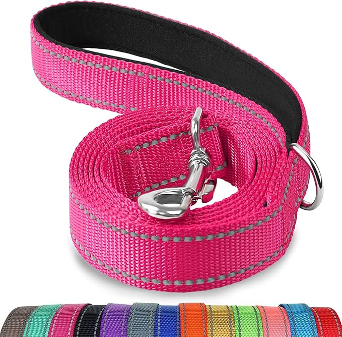 Joytale Reflective Dog Leash for Small Dogs, 5 FT x 3/4", Hotpink | Heavy Duty Nylon Webbing, Padded Handle for Comfort, Visible at Night, for Walking & Training by Joytale