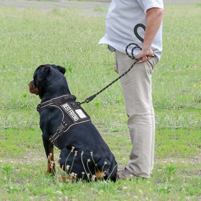 Beebiepet Heavy Duty Tactical Dog Harness for Small Dogs, No Pull Adjustable Pet Harness Reflective Service Training Easy Control Pet Vest Military K9 Working Dog Harnesses-X- Large, Black - Image 3