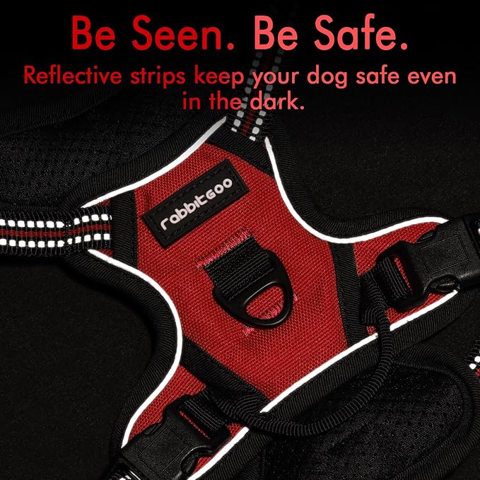rabbitgoo Dog Harness, No Pull for Small Dogs with 2 Leash Clips, Pet Vest | No Choke, Adjustable, Breathable Padded, 2 Lead Rings, Reflective, Easy Control for Walking Training, XS, Red - Image 7