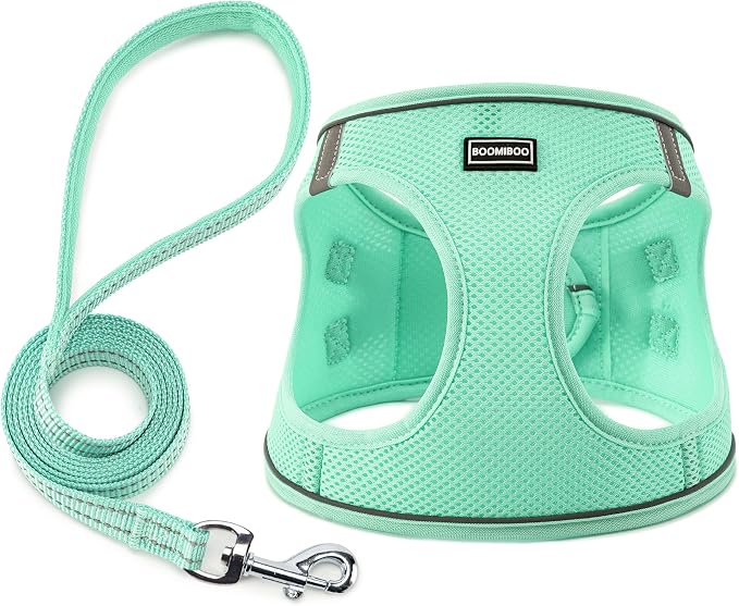 Dog Harness with Leash Set, Step-in Adjustable Puppy Pet Vest, Green S | Lightweight Breathable Air Mesh, Night Safety Reflective, No Pull Puppy Vest Harnesses for Small Medium Large Dogs, Cats by BOOMIBOO