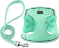 Dog Harness with Leash Set, Step-in Adjustable Puppy Pet Vest, Green S | Lightweight Breathable Air Mesh, Night Safety Reflective, No Pull Puppy Vest Harnesses for Small Medium Large Dogs, Cats by BOOMIBOO