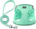 Dog Harness with Leash Set, Step-in Adjustable Puppy Pet Vest, Green XS | Lightweight Breathable Air Mesh, Night Safety Reflective, No Pull Puppy Vest Harnesses for Small Medium Large Dogs, Cats by BOOMIBOO
