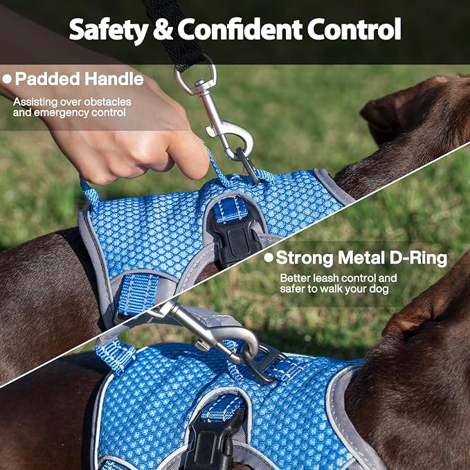 Escape Proof Dog Harness, Dachshund Harness, Reflective Dog Harness with Handle, Durable,Adjustable Vest for Small Medium Large Dogs Walking, Training, and Running Gear (Sea Blue,S) - Image 4
