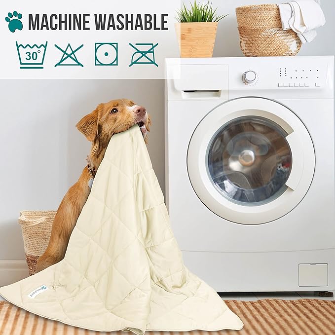 PetAmi Premium Cooling Dog Blanket | Lightweight Fluffy Pet Throw Blanket Bed Cover for Dogs, Cat, Puppies | Pet Blanket Furniture Protector Couch Sofa | Reversible Fuzzy Cozy | 60x80, Beige Latte - Image 5