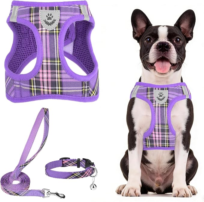 PUPTECK Dog Harness, Collar and Leash Set No Pull for Small Medium Sized | Plaid Puppy Step-in Escape Proof Reflective No Choke Pet Cat Adjustable Walking Vest by PUPTECK
