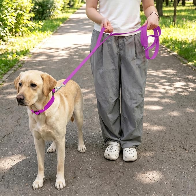 Waterproof Dog Leash with Double Handle, 6 FT Durable Odor-Proof Dog Leashes with Strong Aviation Aluminum Hooks Fits Small Medium or Large Dogs - Image 5