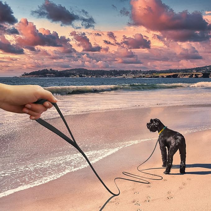 Wolfone Waterproof Dog Leash 20FT Long Line Recall Training Lead | Long Dog Lead PVC coated waterproof leash with easy clean surface strong training rope for recall, hiking and beach trips - Image 4