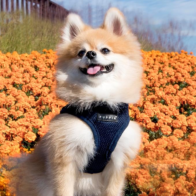 PUPPIA International PUAH305NYXL Soft Harness B Vest, X-Large,Navy - Image 4