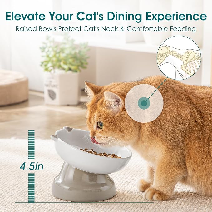 vancasso Ceramic Elevated Slow Feeder Cat Bowls,Slow Feeder Elevated Cat Bowl Wet Food, Raised Cats Bowl for Indoor Cats (Grey) - Image 3