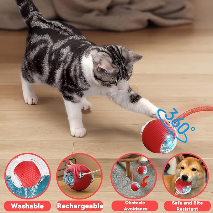 Speedy 2.0 Tail 2 Packs Interactive Cat Toys for Indoor Cats, Automatic Cat Toy with Elastic Mesh Tail, Electric Rolling Ball on Carpet, Chirping and Motion Activate Cat - Image 5