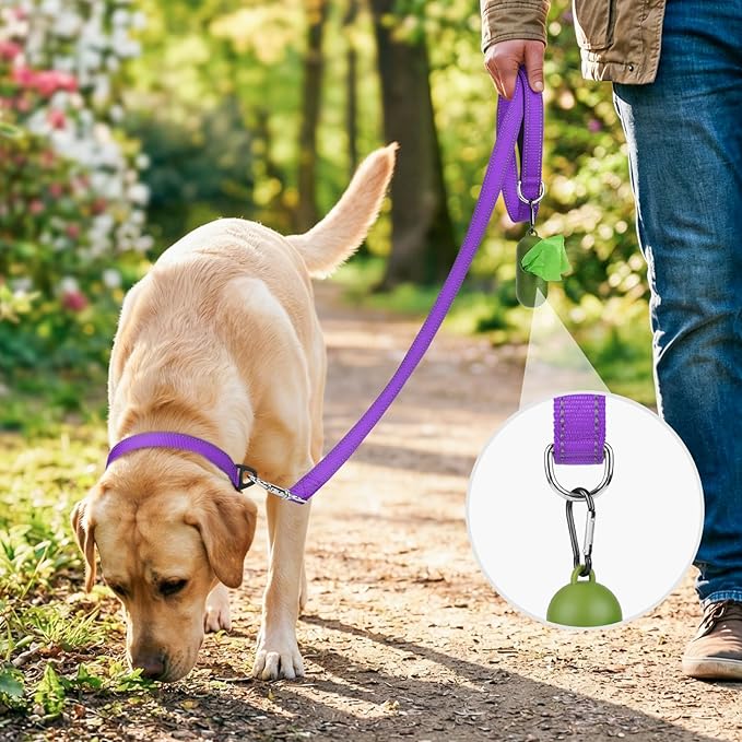 Joytale Reflective Dog Leash for Small Dogs, 4 FT x 3/4", Purple | Heavy Duty Nylon Webbing, Padded Handle for Comfort, Visible at Night, for Walking & Training - Image 2