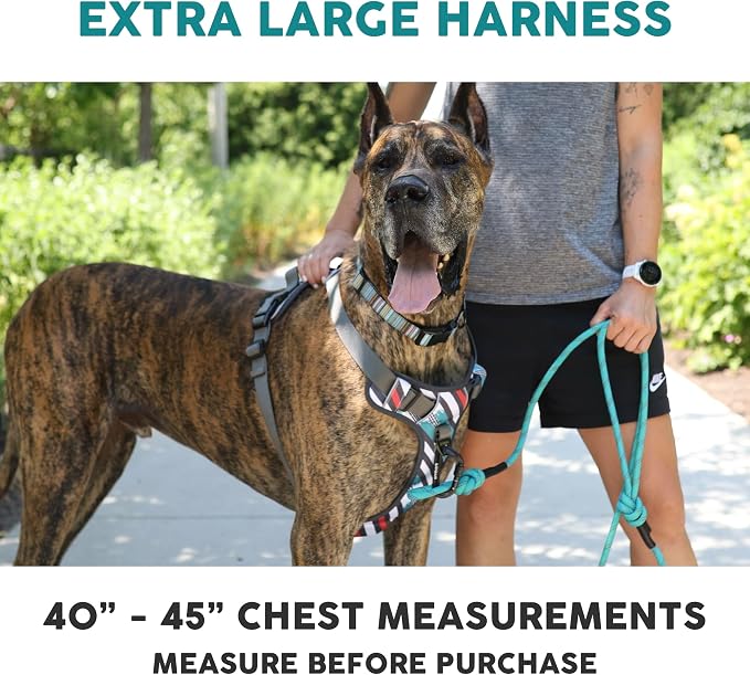 Embark No Pull Dog Harness, Reflective Adjustable Training Vest, No Choke | Adjustable straps fit all dog breeds with sturdy hooks; 360° reflective trim, soft padded Harness Design for All Dogs - Image 3