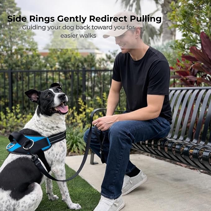 ShawnCo Essential Dog Harness, No-Pull Pet Vest (USA Flag,S) | 3 Leash Clips, Easy On, No-Choke, Reflective, Adjustable Fit, Padded Comfort, Control Handle, For Small, Medium & Large Dogs - Image 3