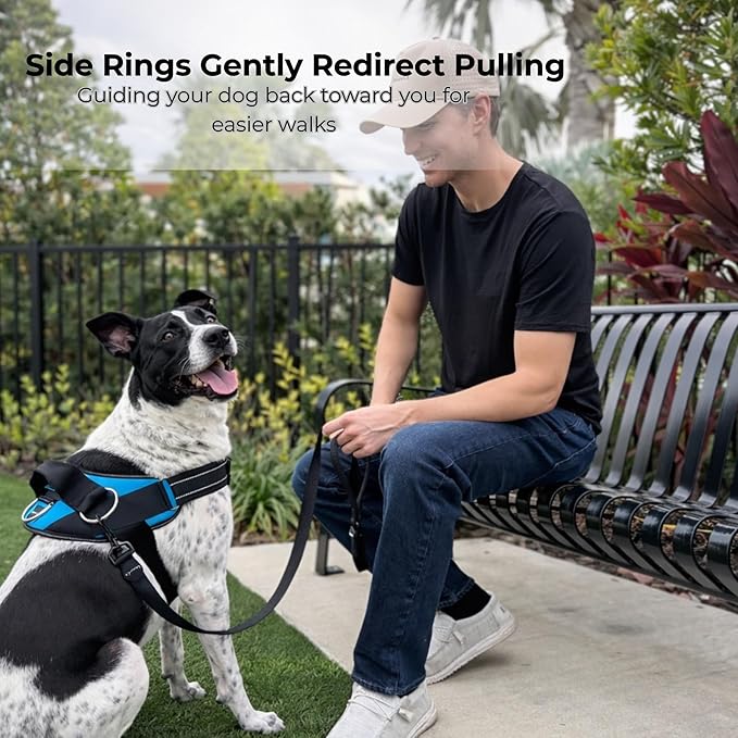 ShawnCo Essential Dog Harness, No-Pull Pet Vest (Seafoam,M) | 3 Leash Clips, Easy On, No-Choke, Reflective, Adjustable Fit, Padded Comfort, Control Handle, For Small, Medium & Large Dogs - Image 3