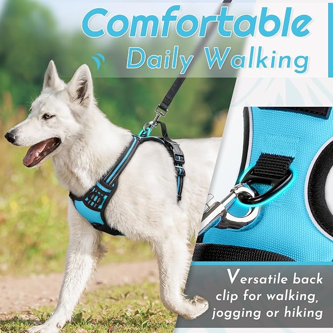 Eagloo Dog Harness for Large Dogs, No Pull Pet Vest with 2 Leash Clips | No Choke with Handle, Adjustable Comfort Fit, Reflective Strips, Easy Walking Control, Sky Blue, Large - Image 3