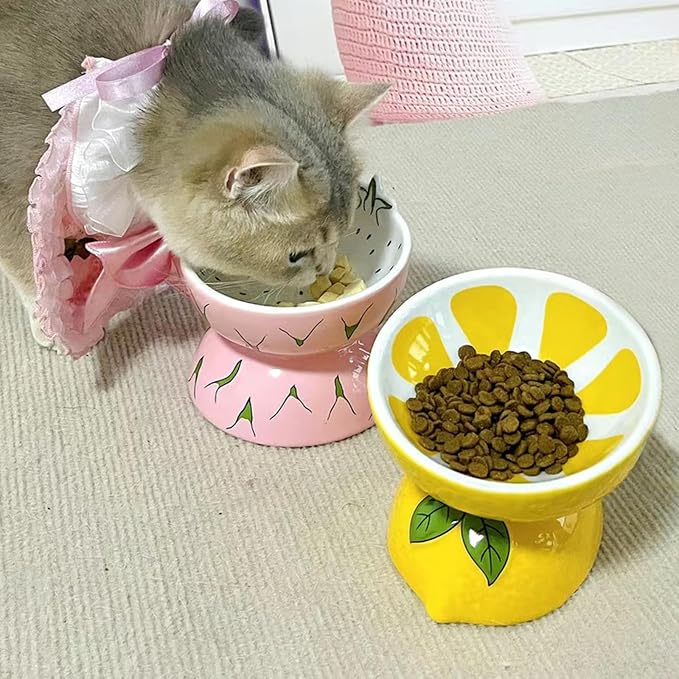 2PCS Ceramic Elevated Cat Bowls Raised Cat Food and Water Bowl Dishes Set | 5.2in Tilted Anti Vomiting Slow Feeder Cat Dishes, Whisker Friendly for Indoor kitten, Lemons & Pitaya Design - Image 2