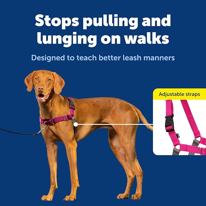 PetSafe Easy Walk Harness, No Pull Dog Harness, Medium, Raspberry | Patented Martingale Loop Gives Gradual Shoulder Pressure to Stop Pulling, Front-Chest Leash Clip Prevents Gagging - Image 3