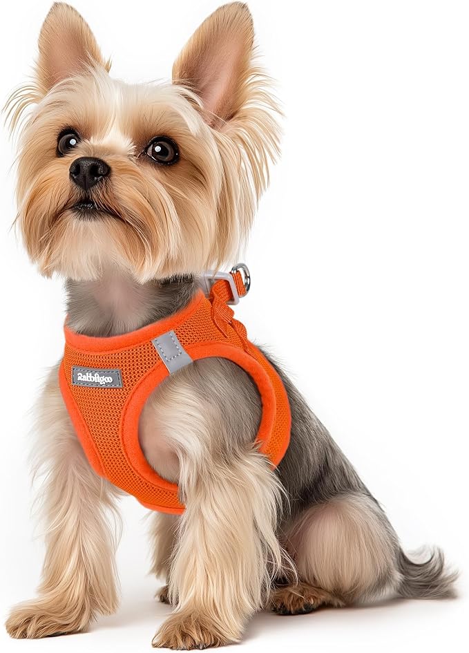 rabbitgoo Step-in Small Dog Harness, Puppy Vest for Small Sized Pet | Easy Put on and off, Lightweight, Soft, Breathable Quick-Dry Air Mesh for Comfortable Secure Walking, Orange XS by rabbitgoo