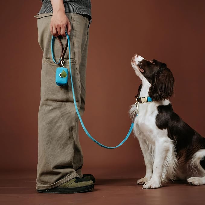 PU Leather Dog Leash for Medium Dogs, 5ft Padded Handle, Light Blue | Comfortable Grip for Daily Walking Training, Full Control, Metal D-ring, Tangle-Free 360° Swivel Clasp, Easy to Clean, 3/4in - Image 2