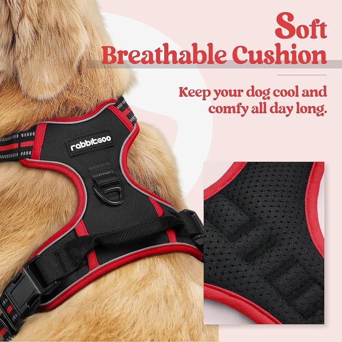 rabbitgoo Dog Harness, No Pull for Small Dogs with 2 Leash Clips, Pet Vest | No Choke with Handle, Adjustable Soft Padded, Reflective, Easy Control for Walking, Black & Red, Small - Image 2