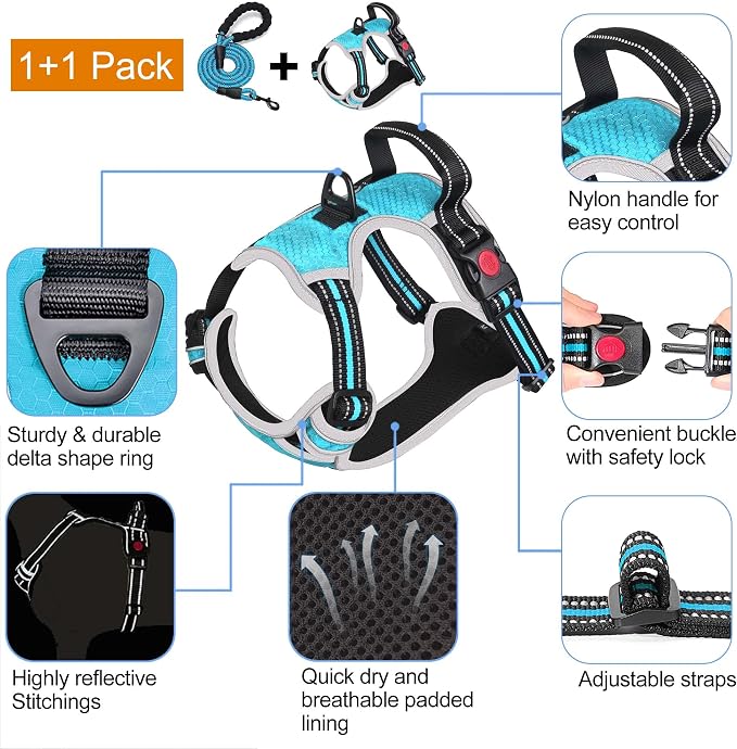 tobeDRI No Pull Dog Harness Adjustable Reflective Oxford Easy Control Medium Large Dog Harness with A Free Heavy Duty 5ft Dog Leash, Blue/Grey, L - Image 3