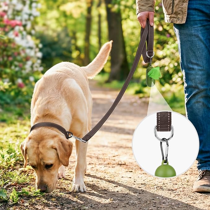 Joytale Reflective Dog Leash for Medium & Large Dogs, 4 FT x 1", Brown | Heavy Duty Nylon Webbing, Padded Handle for Comfort, Visible at Night, for Walking & Training - Image 2