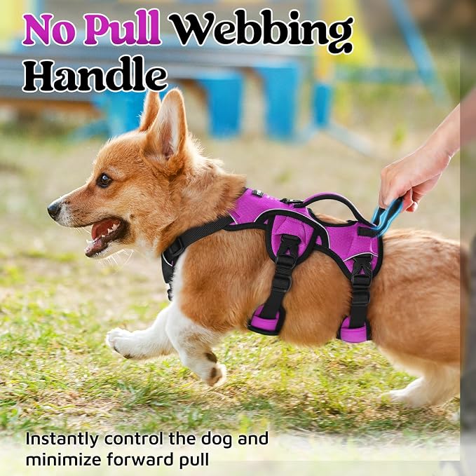 rabbitgoo Escape Proof Dog Harness for Small, No Pull with Lift Handle | No Escape, Full Soft Padded, Reflective Adjustable Vest, Leash Clip for Walking Hiking Training, Purple, Small - Image 4