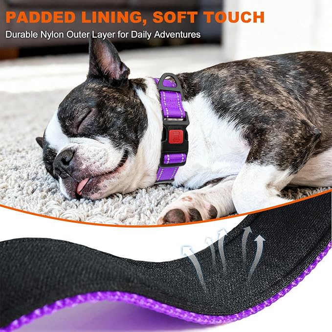 Taglory Reflective Dog Collar for Medium Dogs, Soft and Safe for Daily Walk | Soft Neck Cushioning, Adjustable 14-20 in, Sturdy Webbing Withstands Strong Pullers, Zinc Alloy D-Ring for Leash and ID Tags - Image 4