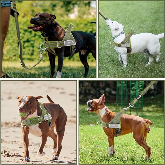 SlowTon No Pull Dog Harness with Front Clip - Heavy Duty, Soft Padded | Neck & Chest Adjustable, Tactical Pet Vest and Leash Set for Large Medium Sized Dogs, for Easy Walk & Training, Green M - Image 8