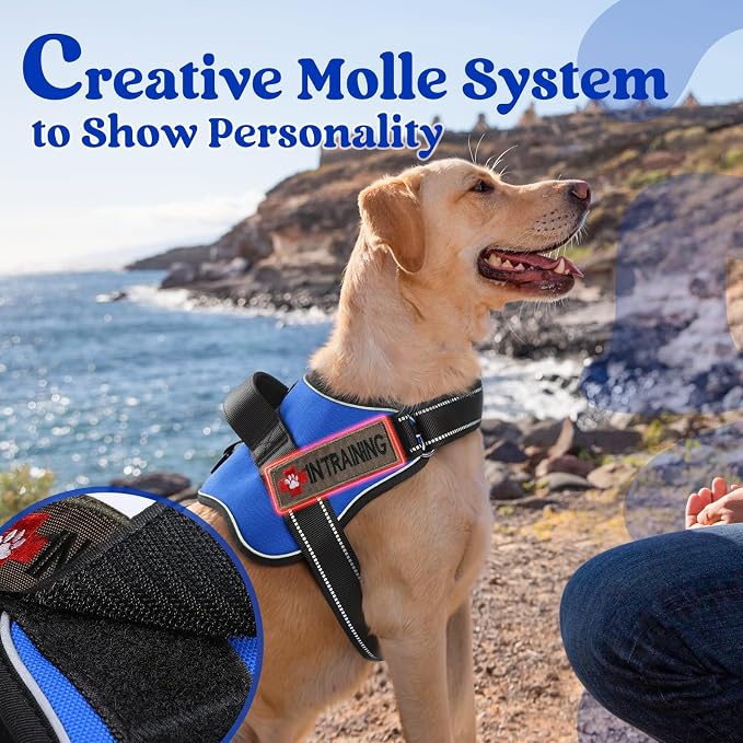 rabbitgoo No Pull No Choke Pet Vest, Adjustable Pet Harness with Molle | Large Sized Dog Harness, Reflective, Easy Wearing with One Buckle for Walking, Training, Blue, L - Image 3