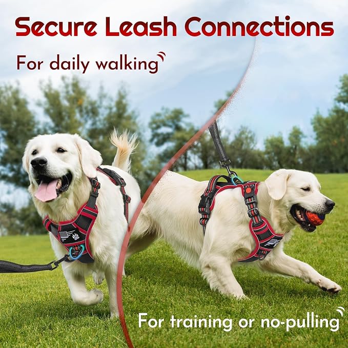 Eagloo Dog Harness No Pull for Small Dogs, Easy On & Off with 3 Buckles | No Choke with Front Clip, Adjustable Fit, MOLLE System, Reflective Vest, Easy Control for Walking, Black & Red, Small - Image 4