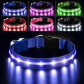 PcEoTllar Light Up Dog Collar, Glow in The Dark for Night Walking, Blue, M | Led Dog Collar for Night Walking, 3 Flashing Mode, USB Charge, For Small Medium Large Dogs, Waterproof, Durable Material by PcEoTllarPetSupplies