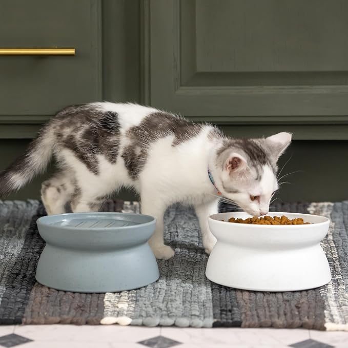 Kitty City Elevated Slow Feeder Cat Bowls (Set of 2), Whisker-Friendly Raised Cat Food Dishes with Ridges, Helps Reduce Fast Eating & Digestion Issues, Dishwasher Safe, 6.5 oz – White & Gray - Image 2