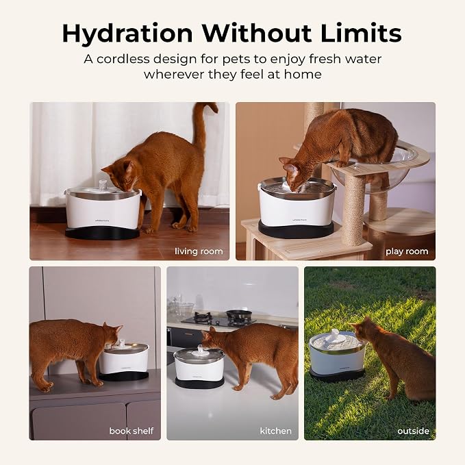 Whiskertons Wireless Cat Water Fountain, Cordless Battery Operated Pet Fountain, 3L/101oz EverMount Cat Fountain, Pet Water Fountains for Cats Indoor, Stainless Steel Tray, Easy to Clean, BPA-Free - Image 2