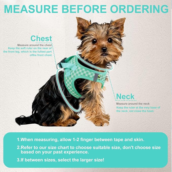 AIITLE Step in Small Dog Harness and Leash Set, Pet Vest, Turquoise S | Breathable Mesh, Adjustable Fit, No-Pull Reflective Design, Escape Proof, for Small-Medium Dogs, Outdoor Walking, Running - Image 8