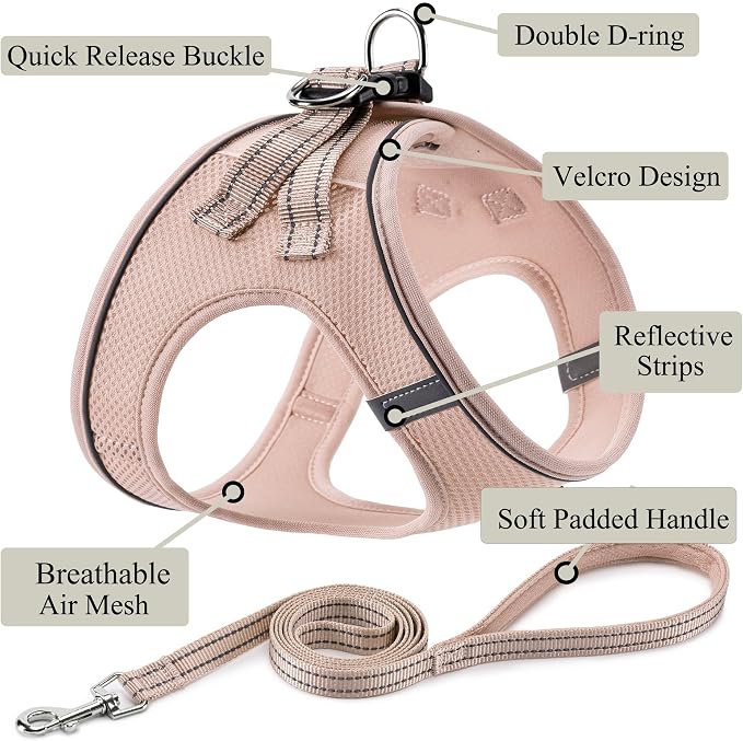 Dog Harness with Leash Set, Step-in Adjustable Puppy Vest, Light Pink XXS | Lightweight Breathable Air Mesh, Night Safety Reflective, No Pull Puppy Vest Harnesses for Small Medium Large Dogs, Cats - Image 2