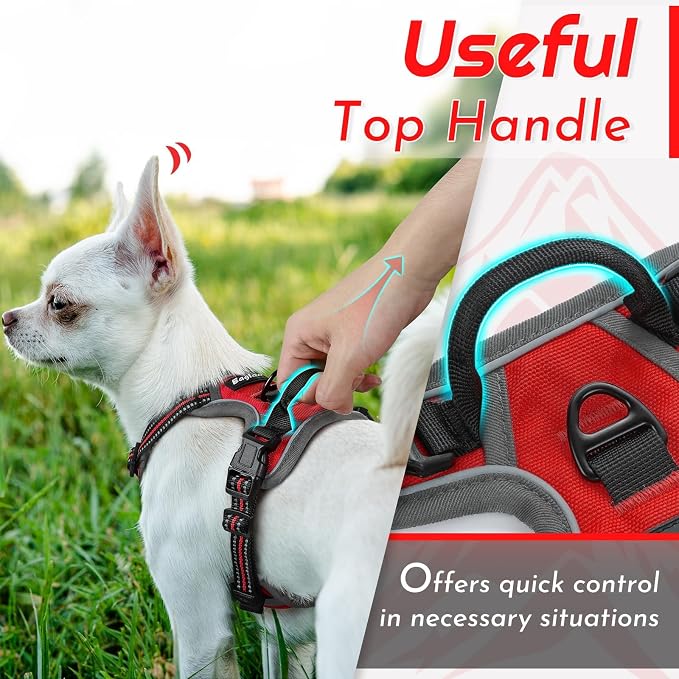 Eagloo Dog Harness for Small Dogs, No Pull Pet Vest with 2 Leash Clips | No Choke with Handle, Adjustable Comfort Fit, Reflective Strips, Easy Walking Control, Red, X-Small - Image 5