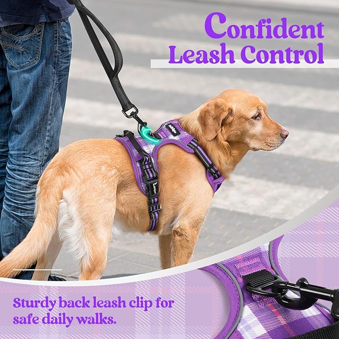 rabbitgoo Dog Harness, No Pull for Large Dogs with 2 Leash Clips, Pet Vest | No Choke with Handle, Adjustable Soft Padded, Reflective, Easy Control for Walking, Purple Plaid, X-Large - Image 6