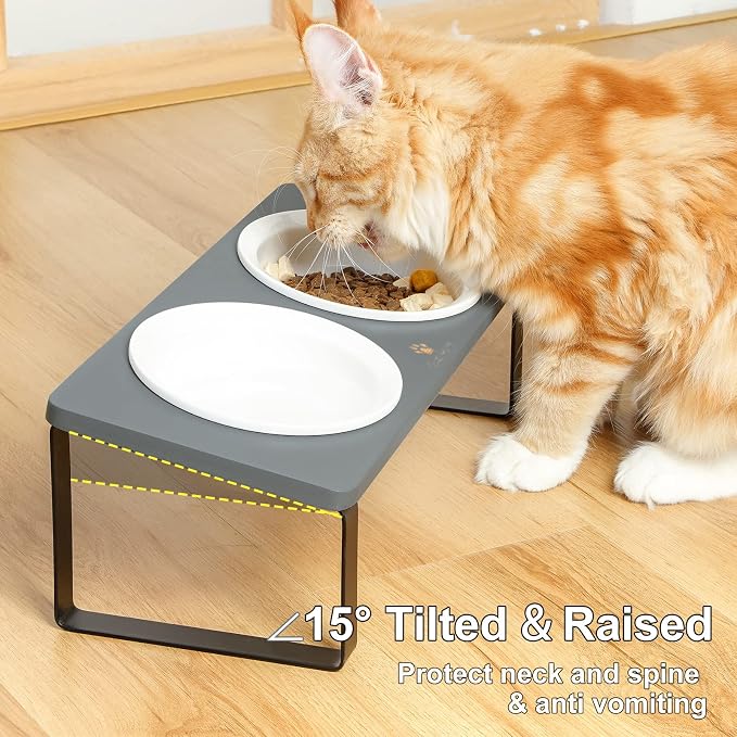 Sunhoo Ceramic Elevated Cat Bowls Raised Puppy Dishes for Food and Water Tilted Wooden Stand for Indoor Cats 5.5 inch Wide Double Dish Orthopedic Reduces Vomiting (Grey) - Image 4